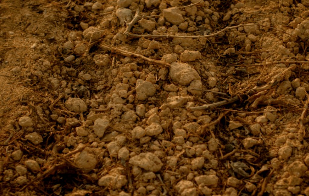 The Incomparable Land of the Penedès