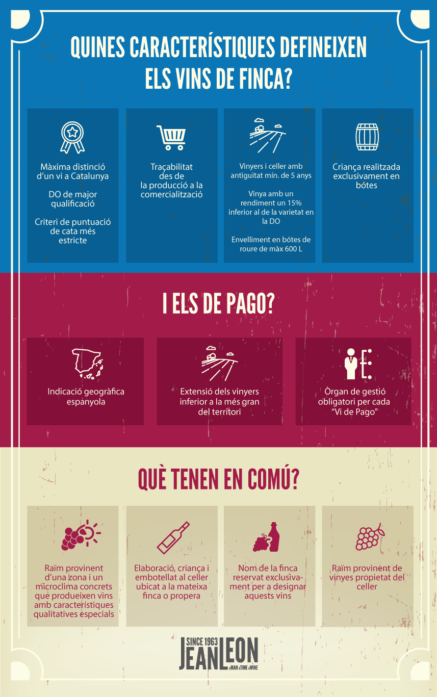 info_cat