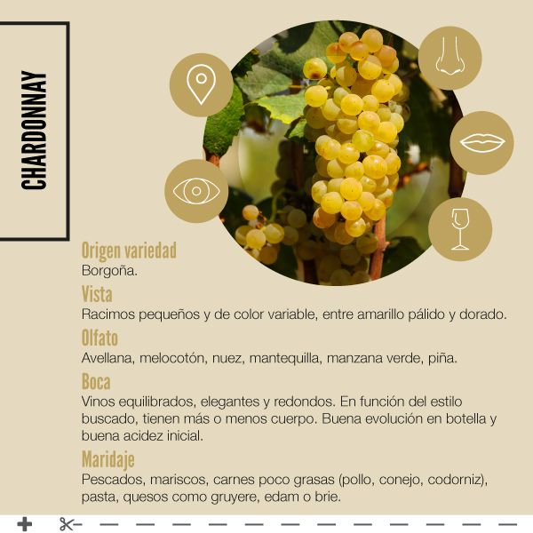 CHARDONNAY