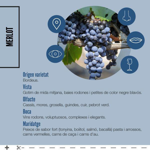 MERLOT