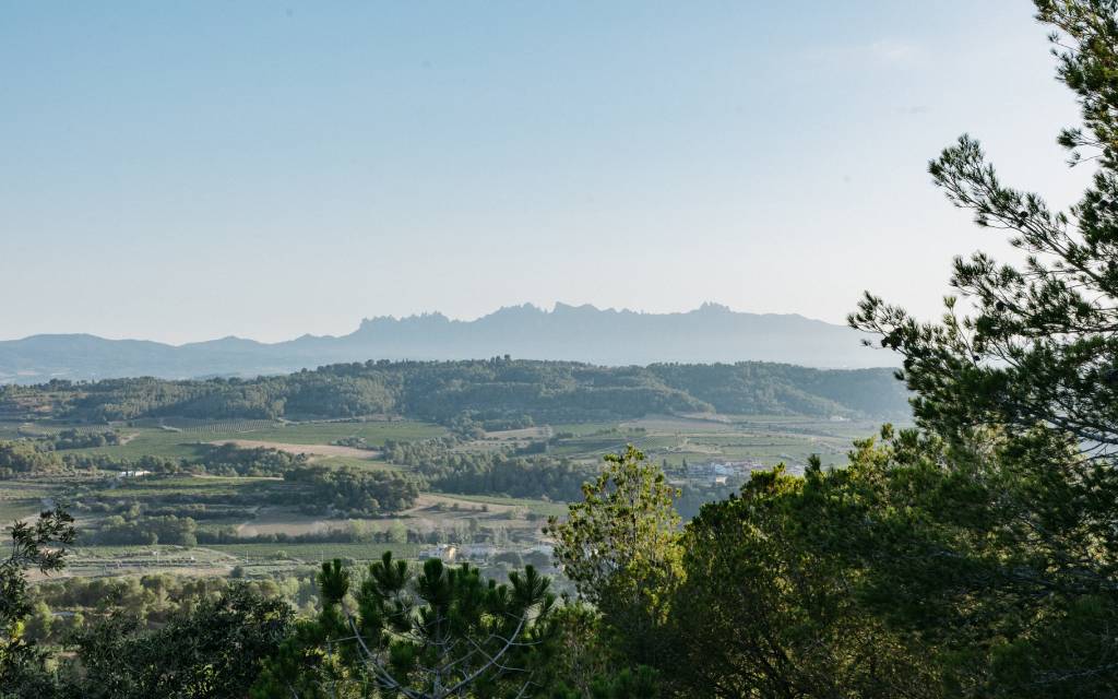 Vistas desde Jean Leon 