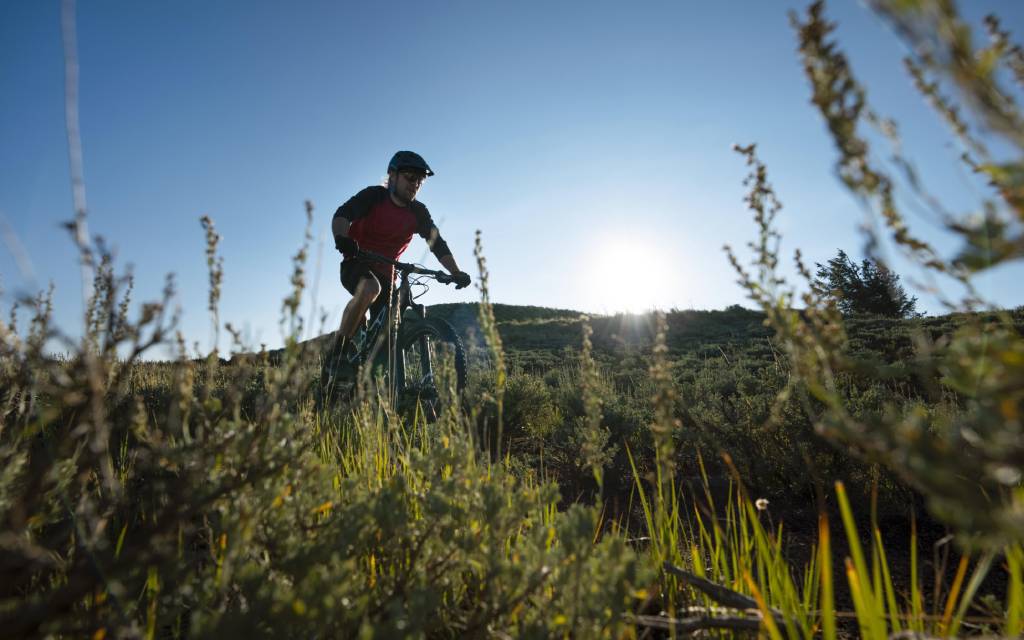Vía Augusta Penedès