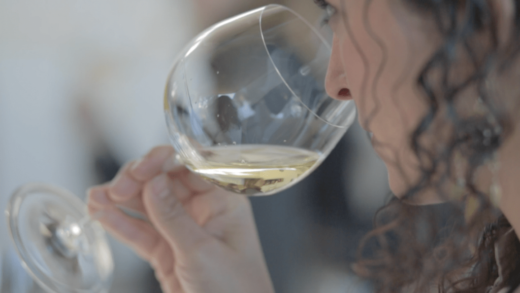 20 términos imprescindibles en la degustación de un vino
