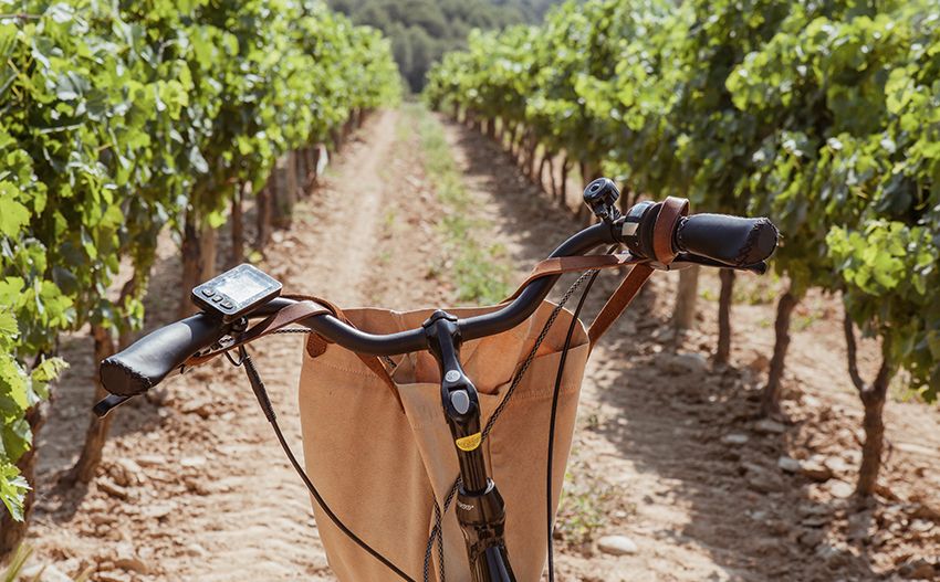 Planes para un fin de semana con el vino como protagonista