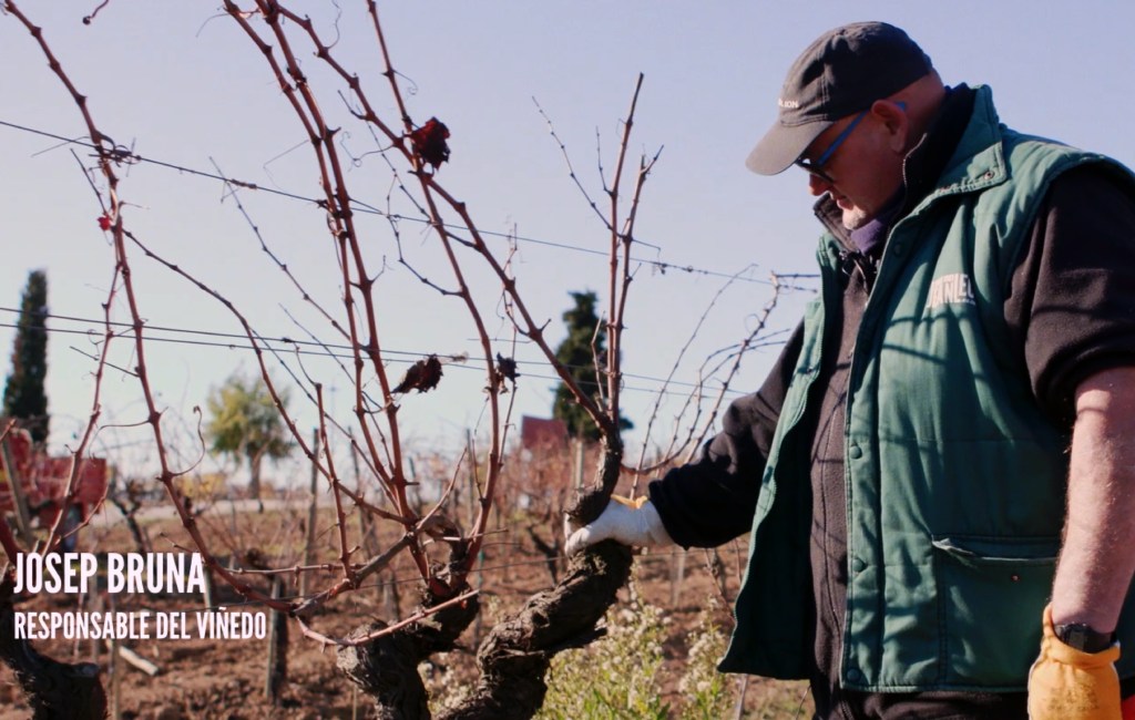 La poda: la historia de un vino siempre empieza en la tierra