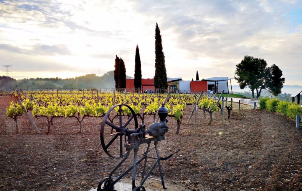 6 planes de invierno en el Penedès