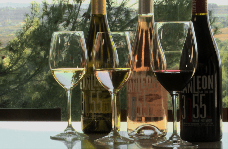 Cinco consejos básicos para entender de vinos