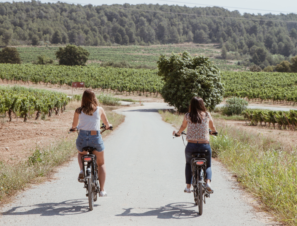 4 plans per viure l'enoturisme al Penedès tot l'any