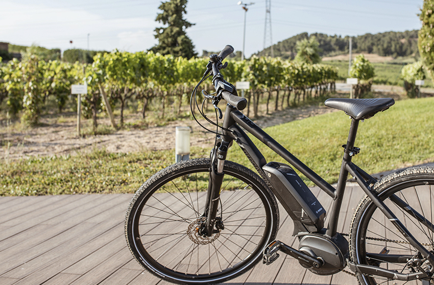 Five mountain bike routes for discovering the Penedès