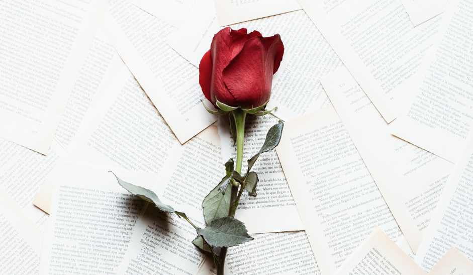 7 libros imprescindibles sobre vino para regalar este Sant Jordi