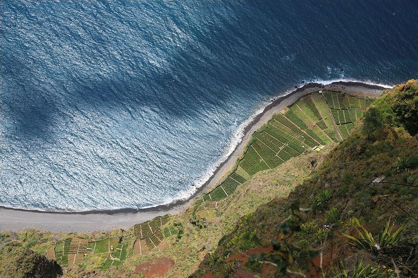 madeira-1250495_1280