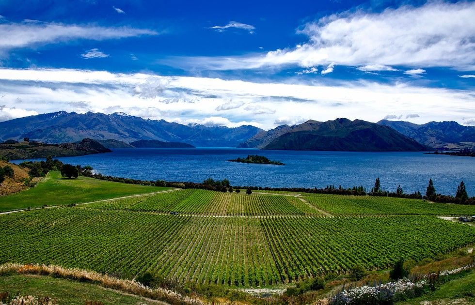 Layover 5: New Zealand. A paradise at the end of the world Layover 5: New Zealand. A paradise at the end of the world