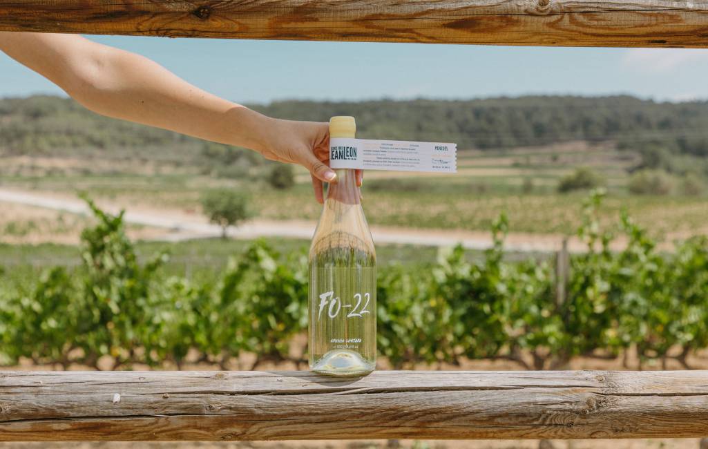 FO-22, vino experimental 
