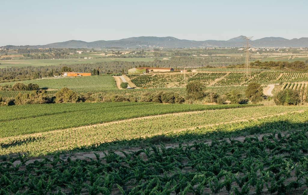 Proyecto nuevo (11)