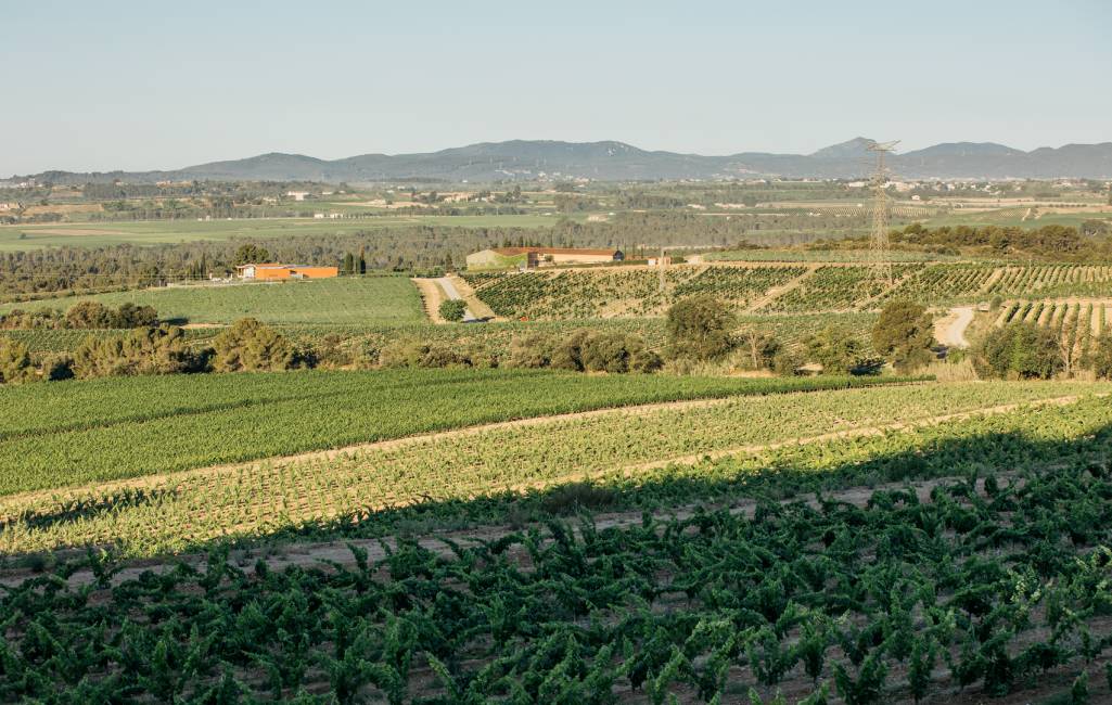 penedès